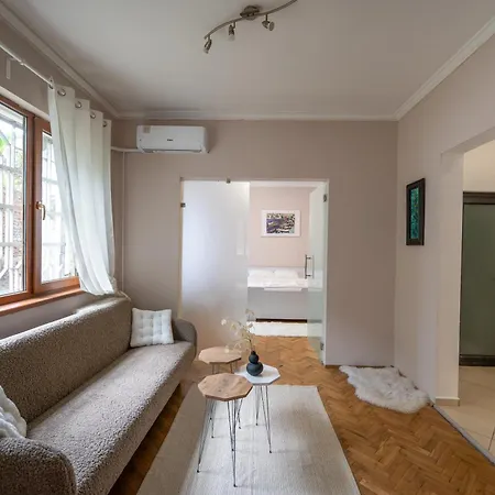 Beautiful Two-bedroom In City Center Apartment